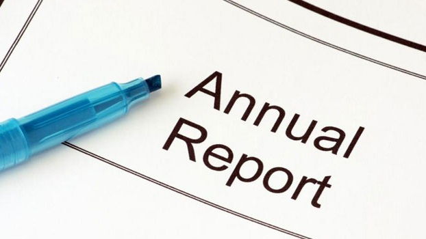Annual Report Icon