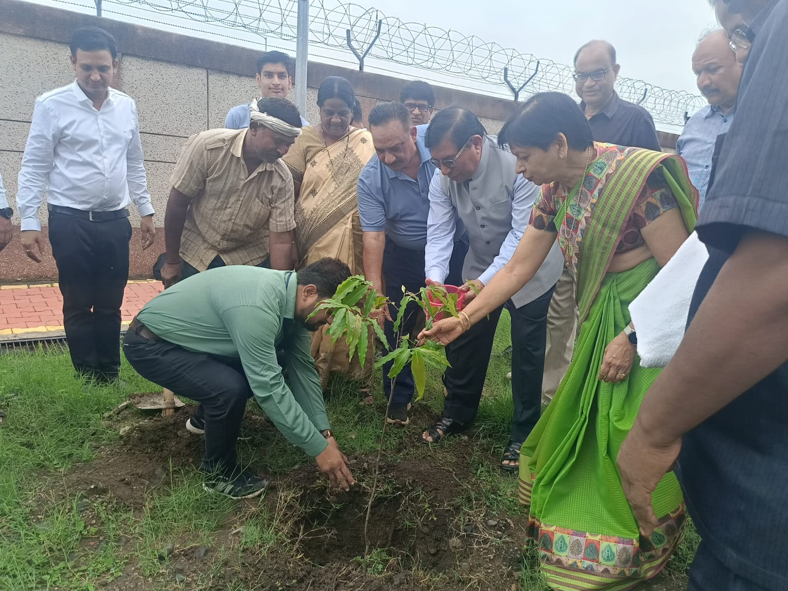 Plantation2.jpeg - 317.22 kB